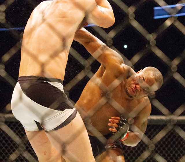 2280086_web1_MMA-UFC-192_Jens.jpg