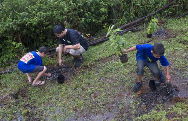Hawaiian immersion with taking care of plant