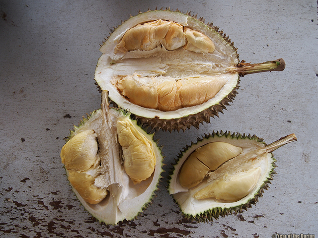 2981150_web1_3-Durian-Penang-Malaysia---Lindsay-Gasik-copy.jpg