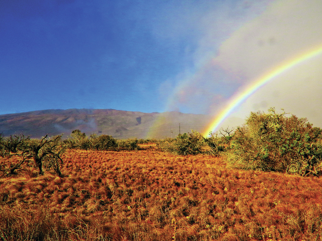 3541549_web1_Mauna-Kea-Rainbow-Hinkley.jpg