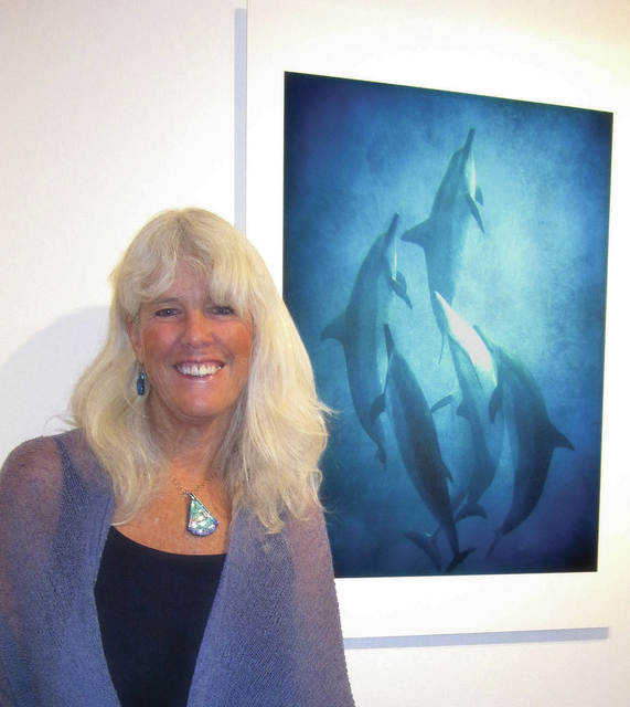 3882437_web1_Dolphins-exhibit-with-Kathleen-Carr.jpg
