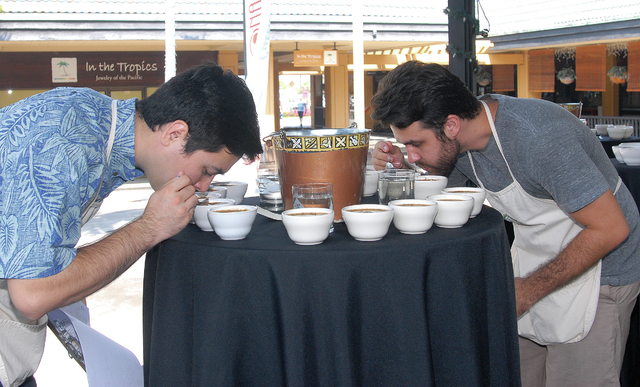4464859_web1_Cupping-Competition_0009.jpg