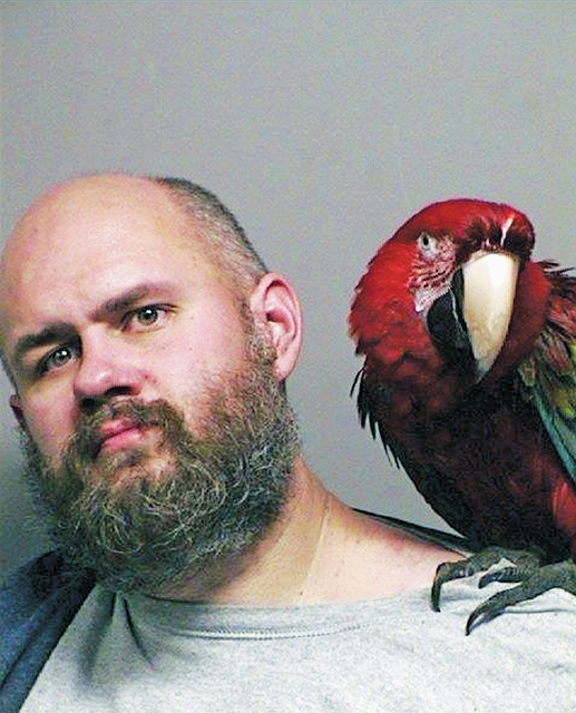 4591024_web1_Oregon-Arrest-Macaw_Staf.jpg