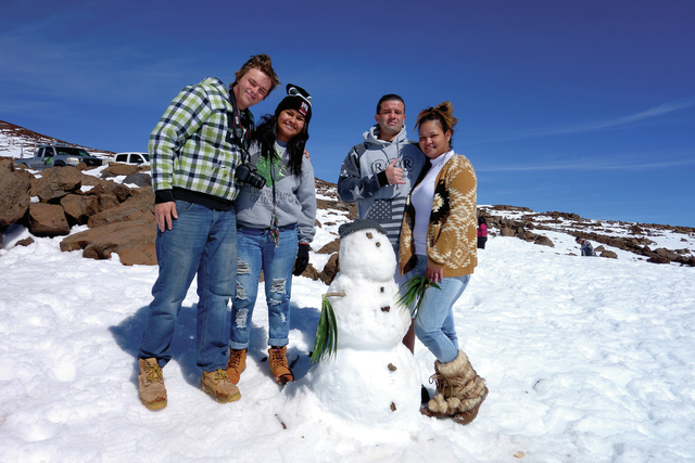 4679221_web1_Building-a-snowman-with-palm-tree-arms2016122610114490.jpg
