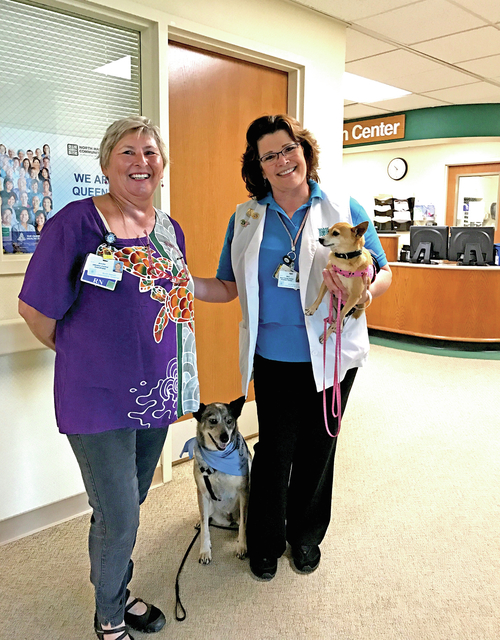4745453_web1_NCHC-staff-with-therapy-dogs2017110144930336.jpg