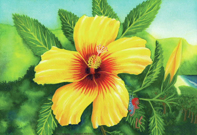 4843475_web1_Yellow-Hibiscus--Hawaii-State-Flower-SC.jpg