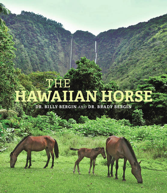 5057711_web1_The-Hawaiian-Horse201731418461102.jpg