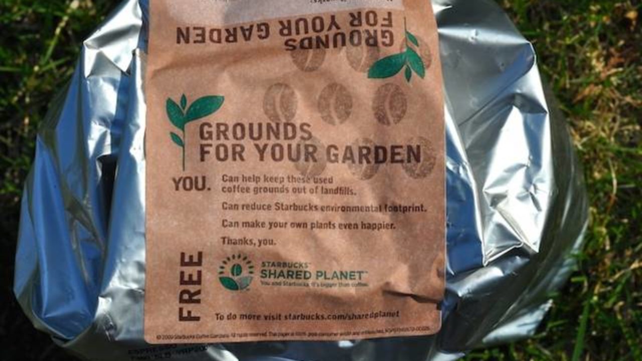 Tropical Gardening Helpline Using Coffee Grounds In Gardens