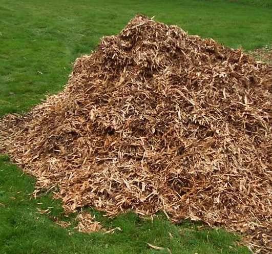 Tropical Gardening Helpline Wood Chips Work To Limit Weed Growth
