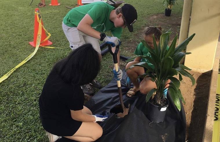 Cub stewards with a cause: Konawaena High School Leo Club partnering up to raise soil conservation awareness - West Hawaii Today