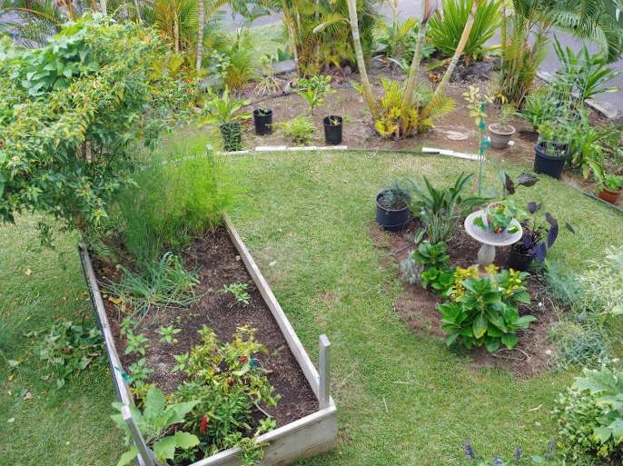 Kim Monke Extraordinary Master Gardener West Hawaii Today