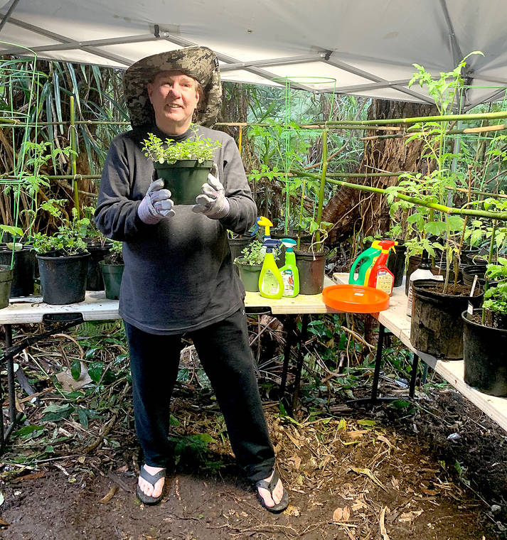 Local Lockdowners Do Herb And Spice Gardening For Sanity West