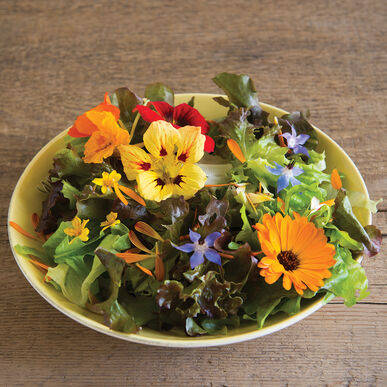 Plant of the Month: Edible flowers - West Hawaii Today