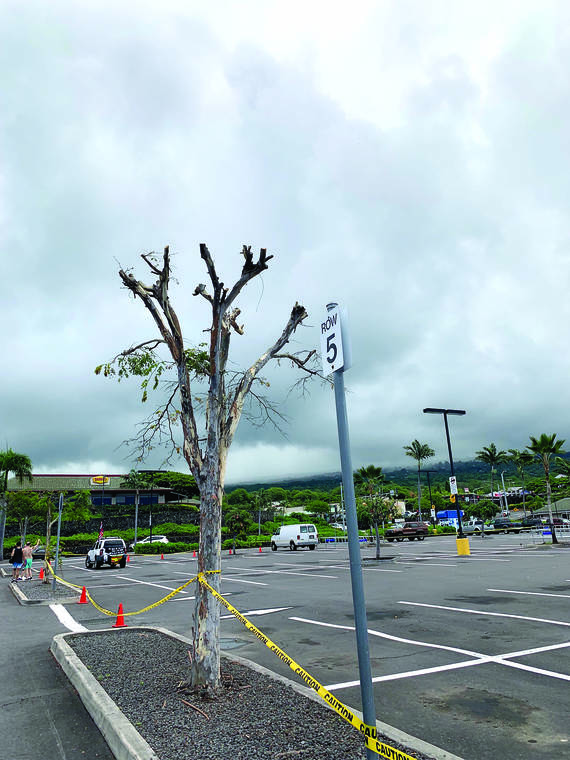 BEZONA: Here we go again with another hurricane season - West Hawaii Today