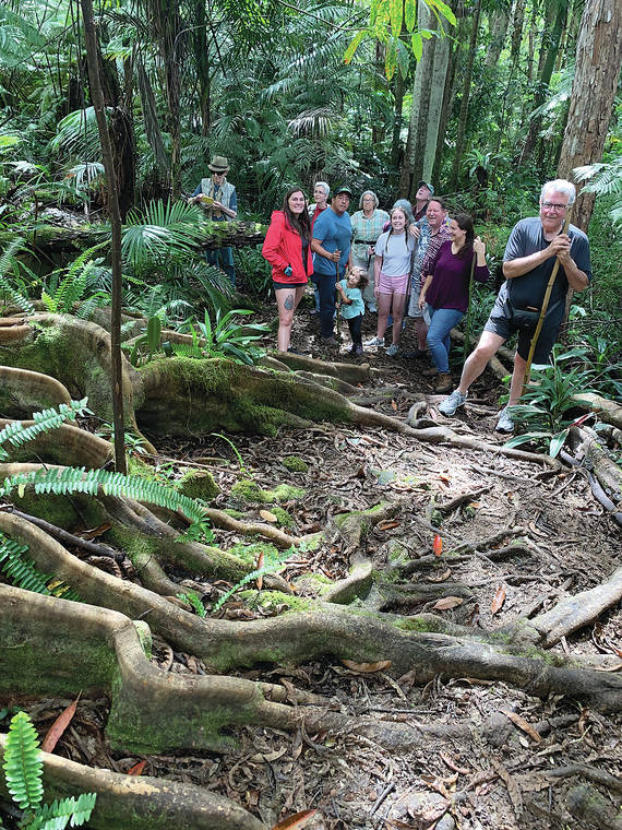 Moku O Keawe Land Conservancy offers tour of Kona Cloud Forest Sanctuary - West Hawaii Today