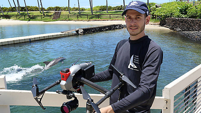Dolphin reproductive research aided by UH drones - West Hawaii Today