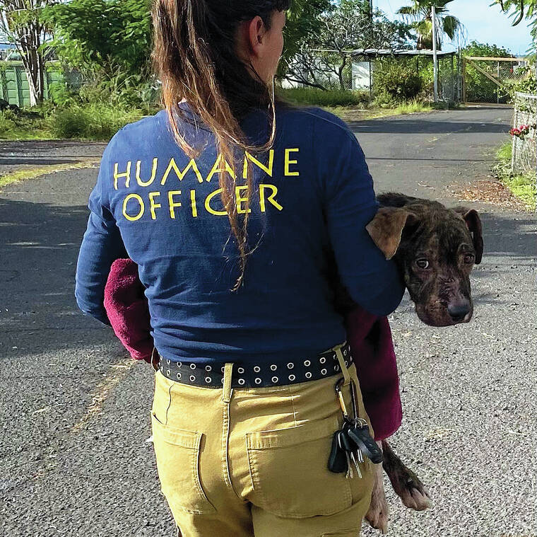 Bill aims create dedicated animal control agency - West Hawaii Today