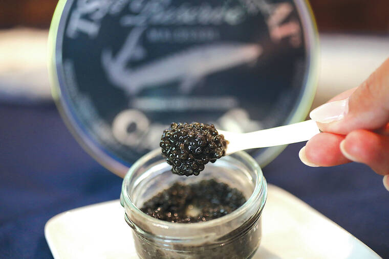 How a California caviar producer with a fake Russian name became the vanguard of sustainable aquaculture