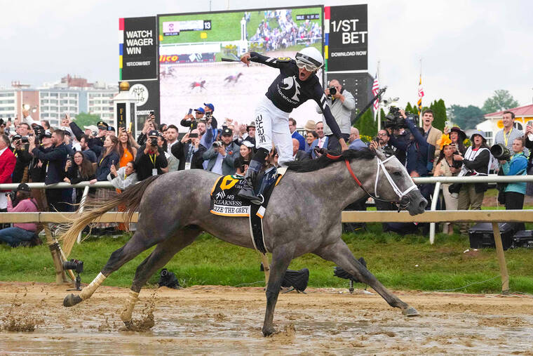 Preakness 2024: Seize the Grey goes wire-to-wire, outruns Mystik Dan in 149th running