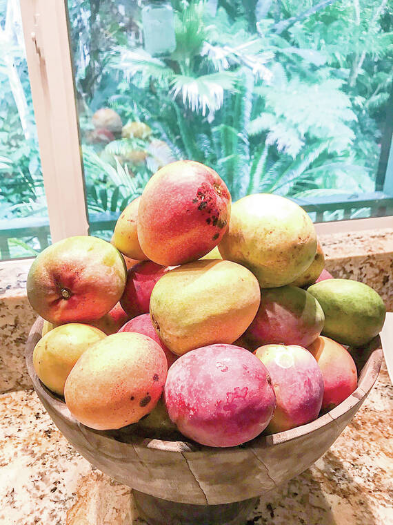 Tropical Gardening: Hot summer days ideal for mango and papaya