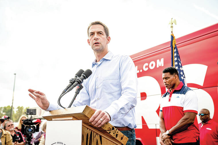 Trump’s VP pageant has an unexpectedly strong contender: Tom Cotton